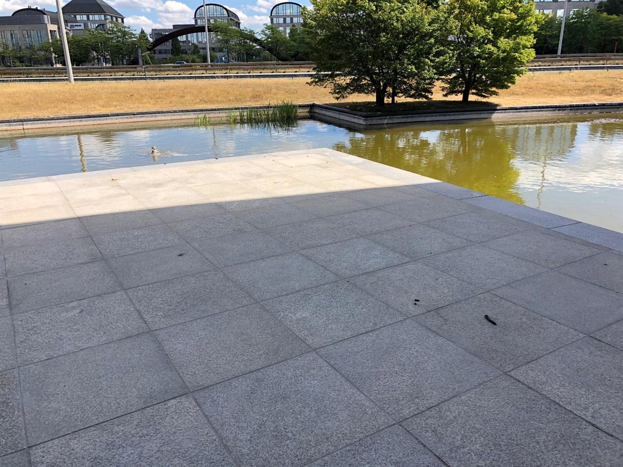 DHL vernieuwen terras